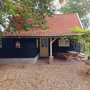 Studio Blue Beech